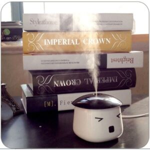 Mini humidificateur USB Sauna Boy