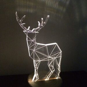 Lumière LED en forme de faon transparent